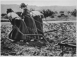 Women in France Ploughing, 1917 (from the US National Archives)